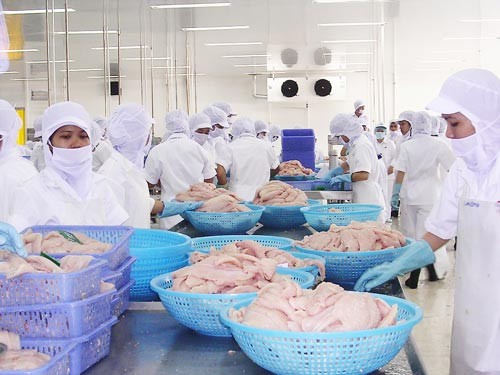 A tra fish processing plant in the Mekong Delta (Photo: SGGP) A tra fish processing plant in the Mekong Delta (Photo: SGGP)